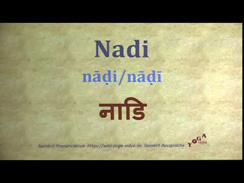 Nadi Pronunciation Sanskrit नाडि nāḍin