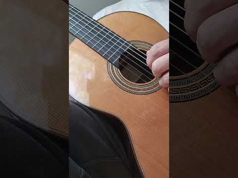 Amalio Burguet Model 1 #014 Handmade Classical Guitar Spain 2004 (Excellent) image 18