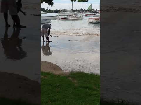 Lamer move guet sanala li