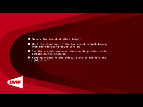 CE2M8V63 Theraband Exercises - Trunk Rotation