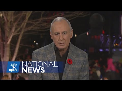 Rogers Sportsnet fired Don Cherry, Ron MacLean issues a solo apology | APTN News