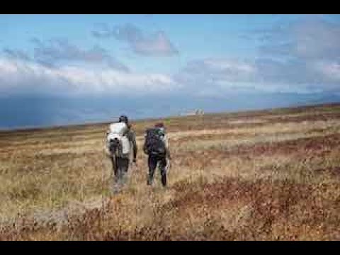 Pacific Crest Trail 2021 A Journey of One, A Journey of Many