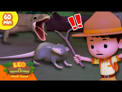 Witness21 Editor  2024 11 23