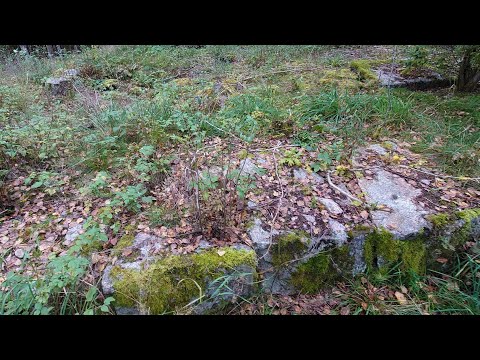 OLA PETTSATORPET - Värperyd 211009 - Karlsnäsleden - KALLINGE- Sony Xperia I mk2 - RONNEBY