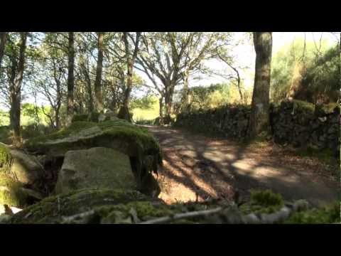 Camino Frances - von den Pyrenäen bis ans "Ende der Welt"