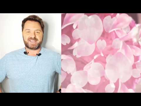 Rosas de papel - Brico Amigos DIY - Martin Muñoz - Programa 10/2019