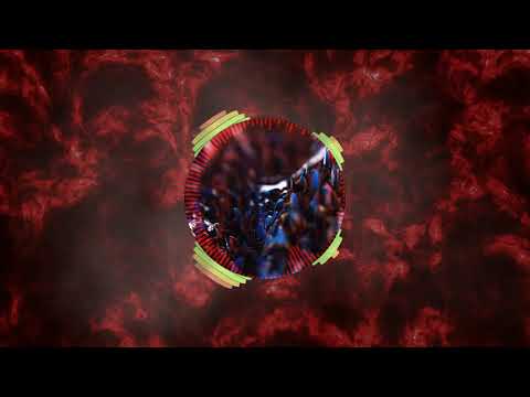 BEST STMP RCRDS PARTY MIX 2020