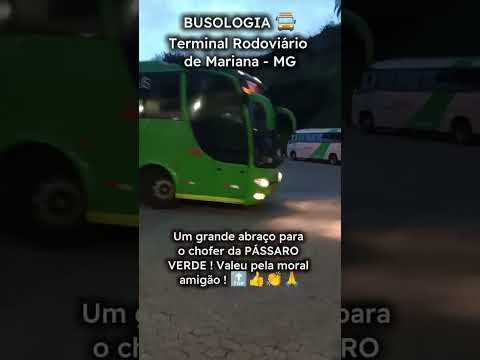 Busologia ! Terminal Rodoviário de Mariana - MG . #onibus #transporte  #viaggiog6 #chofertop .
