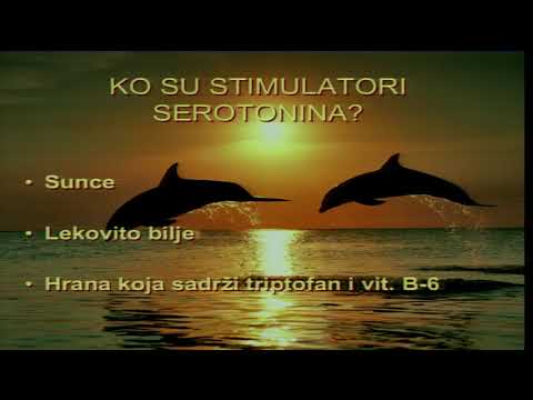 Ishrana i Mozdani Procesi 3 - dr Dragan Ivanov