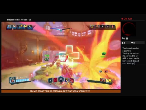 Paladins The Struggle Is Real