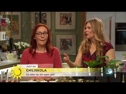 , title : 'Så odlar du din egen chili - Nyhetsmorgon (TV4)'