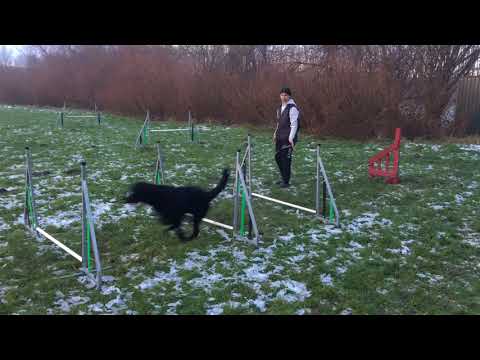 Fellah lesson 3 jumping mania 1 session 15 december 2017