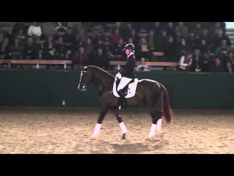 Quotenkönig v. Quaterback x Fürst Piccolo x Sandro Hit - Handorf 28.02.2012