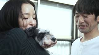 映画『クロス』予告編