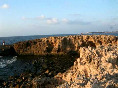 Summer in Miami Beach, Alexandria