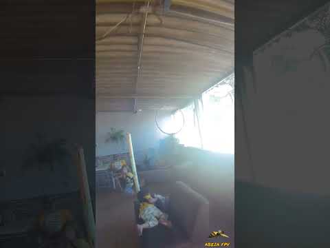 ABEIA FPV - Treino diário / Daily training 137