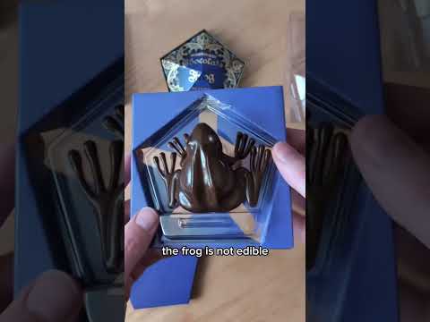 Harry Potter chocolate frog Prop Replica #harrypotter #hogwarts  #collectables