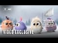 Angry Birds Noël