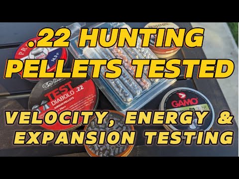 Best .22 Hunting Pellets of 2024 - The Ultimate Hunting Pellet Test, Velocity, Energy, & Expansion