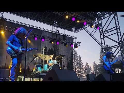 Pigeons Playing Ping Pong - HSMF Mainstage