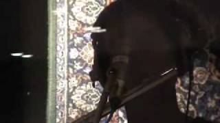 Nine Horses - Recording Sessions