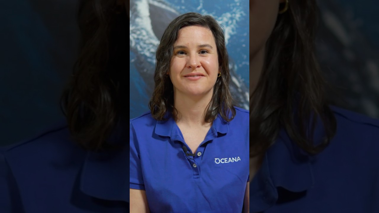 ESA Success Story: Humpback Whale 🐋