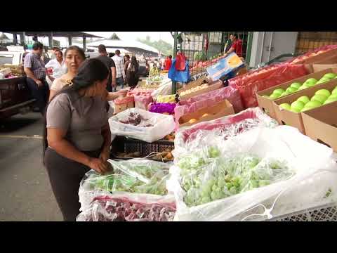 La Terminal de Transferencia cumple 25 años abasteciendo a Guayaquil y su zona de influencia