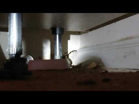 Treating rats in Coventry www.covkill.co.uk