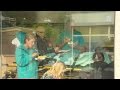 7 Minuten 2016 - Ambulancewens
