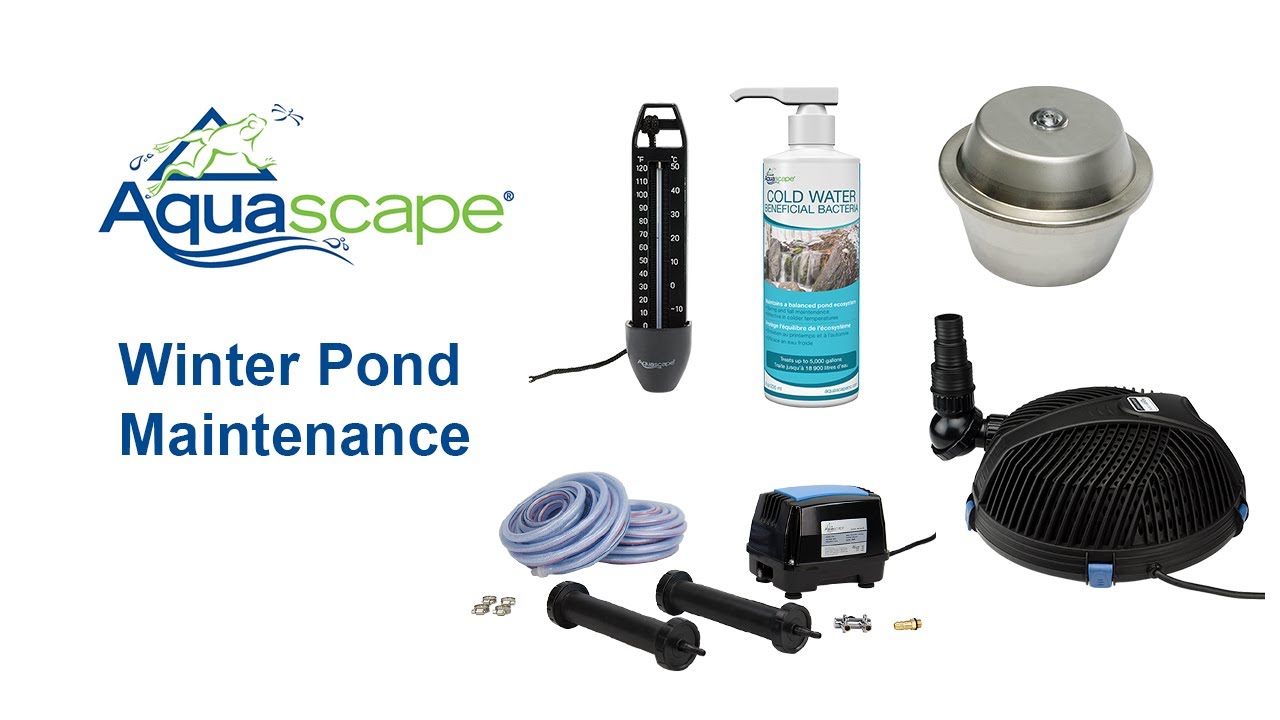 Aquascape Video