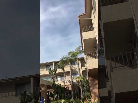 Real moments. Real connection. Real music.Now booking. Link in bio. #music #losangeles #nowbooking