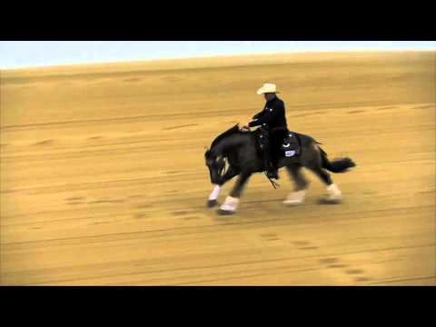 CFR CENTENARIO WIMPY