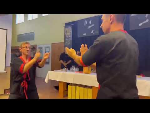 Wing Tsun Kung Fu • Tradicionális kínai harcművészet • Hatékony önvédelem • CHI-SAU bemutató Pécelen