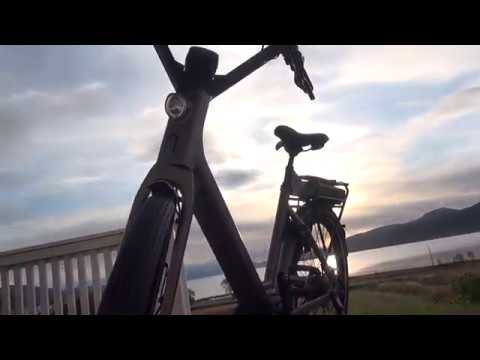 Moustache Lundi 26 grey