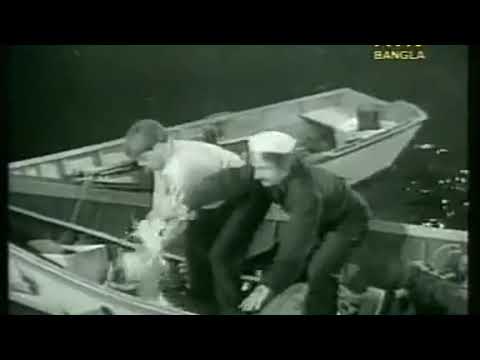 3 Stooges Bangla Dubbing |থ্রি স্টুজেস বাংলা ডাবিং|