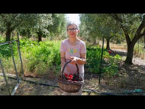 Albergo il Giardino a Rodi Garganico -Official Video Brand  Eco Experience Hotel Gargano