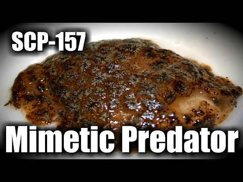 SCP-157 - Хищник-подражатель