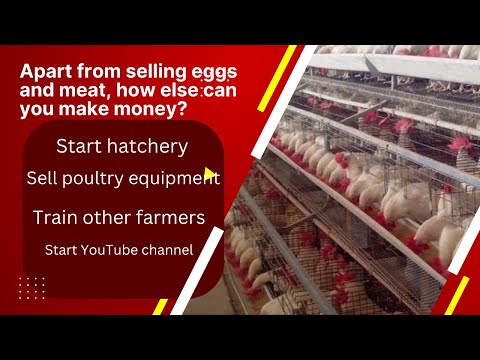 , title : 'Altenative ways for poultry farmers to make money | Broiler Chicken farming | Layer poultry farming'