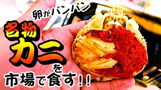 １個500円！？超プチプチ！究極のカニ！【福井グルメ旅行】