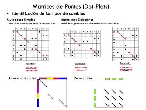 Alineamientos de secuencias (parte I) - Evaluación cualitativa (DotPlots)