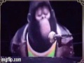 Johnny The Mountain Gorilla Sings Dance Myself To Sleep
