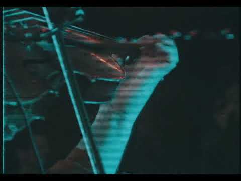 Bazurka - "Danube", Live at the Dom Polski