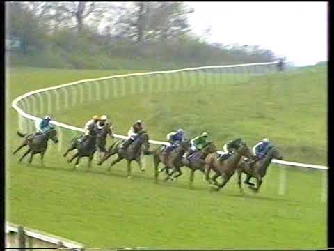 1988 Calor Derby Trial Stakes
