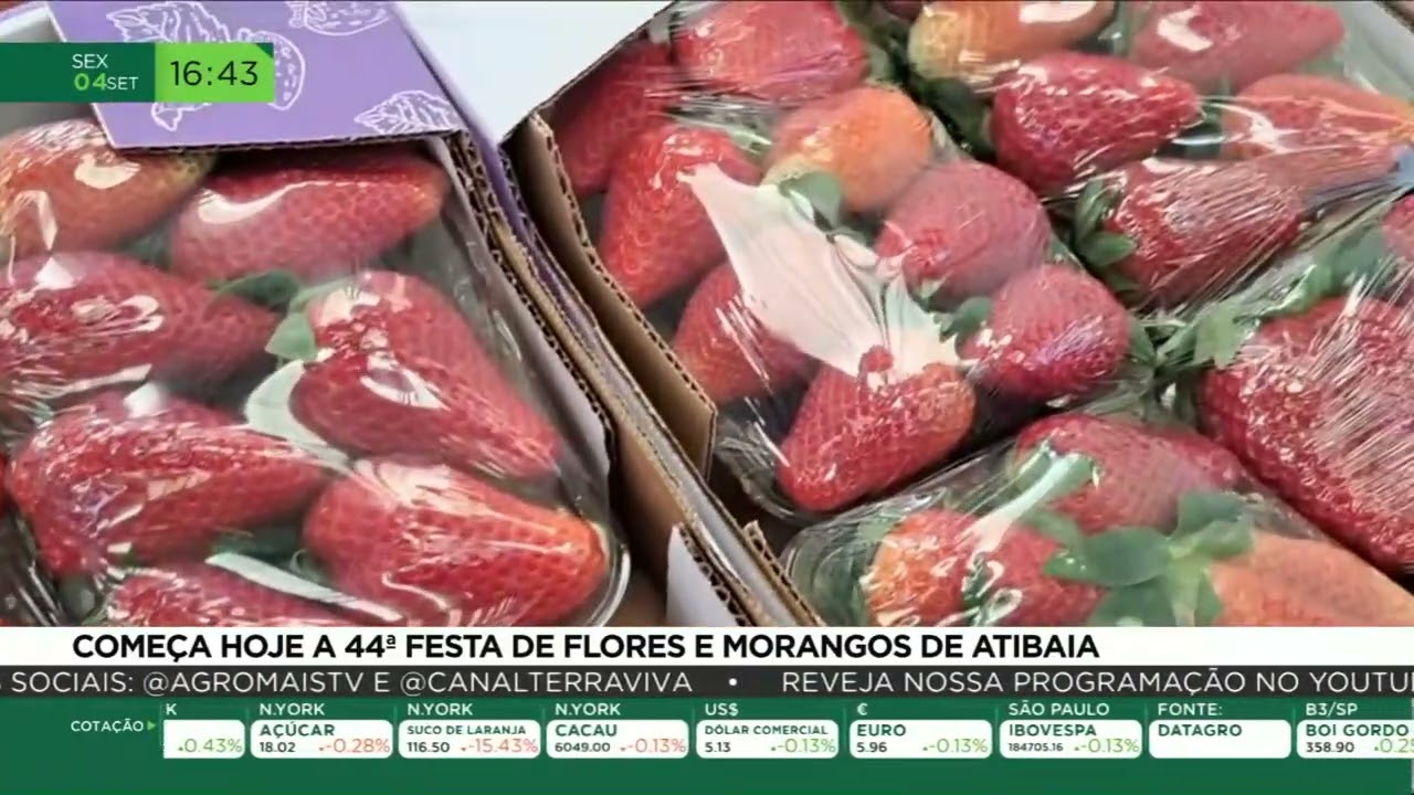 Começa hoje a 44ª Festa de Flores e Morangos de Atibaia