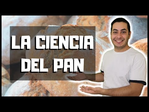 , title : '¿COMO SE PREPARA EL PAN? | EXPLICACIÓN CIENTÍFICA |TODOS SABIOS'