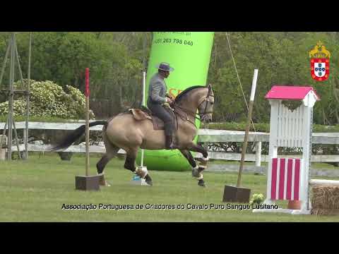 220501 Velocidade todas as classes III Jornada CNET e Internacional