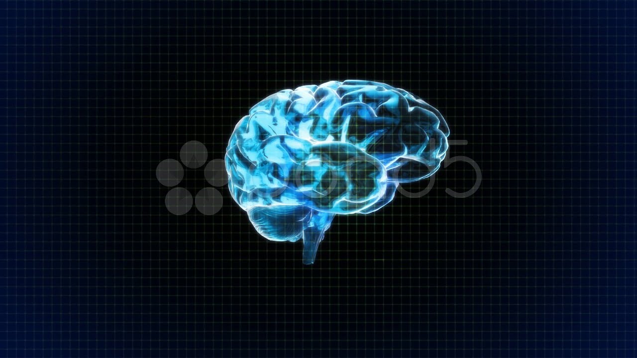 Brain Rotate With Grid Background. Stock Footage