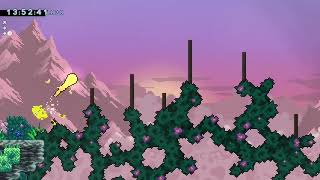 [SJ] Passionfruit Pantheon