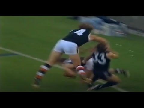 Tony Lockett knocks out Matthew Hogg AFL Fight/Melee Carlton VS St Kilda