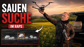 Dichter RAPS ist KEIN Problem mehr! - Sauensuche im Raps (M4TD)